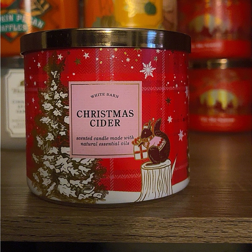Christmas Cider Candle✨